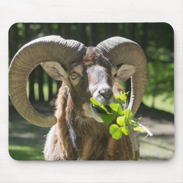 Mousepad Mouflon Ram (Frente)