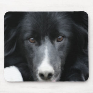 Mousepad Mouse Cachorro Collie Face De Borda Preta