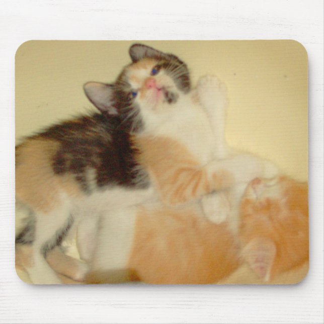 Mousepad Mouse Cats 5 (Frente)
