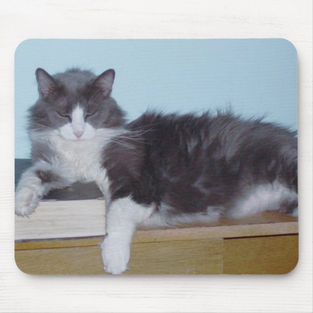 Mousepad Mouse Cats 9 (Frente)