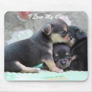 Mousepad Mouse Chihuahua Adicionar Foto E Texto