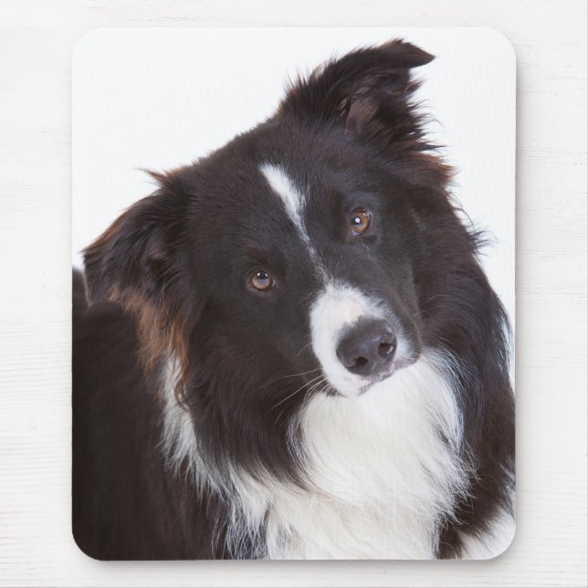 Mousepad Mouse de Cão Cachorro Collie Preto e Branco (Frente)