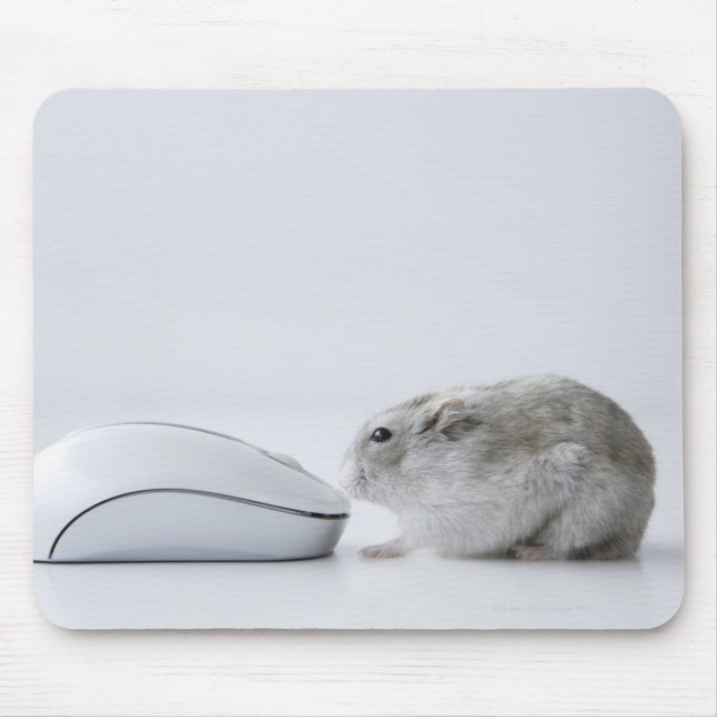 Mousepad Mouse de Hamster e Computador (Frente)