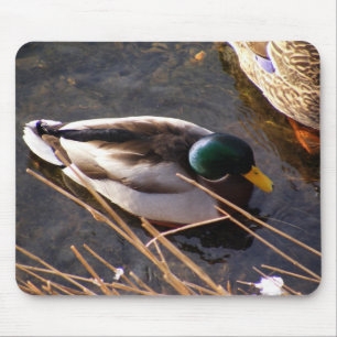 Mousepad Mouse de madeira
