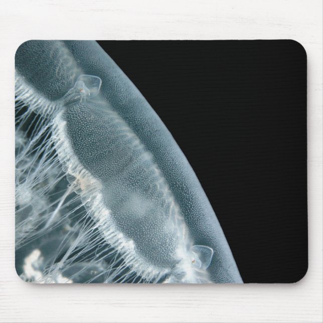 Mousepad Mouse de Rise Moon (Frente)