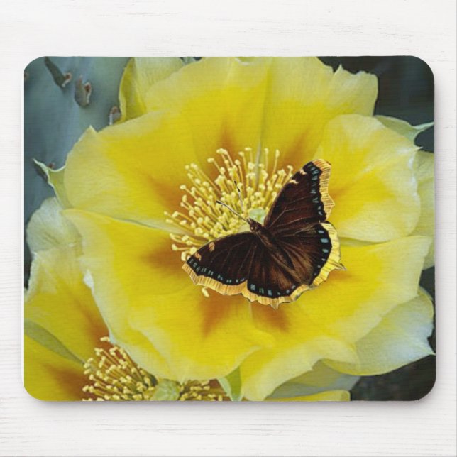 Mousepad Mouse do Flor Cactus (Frente)