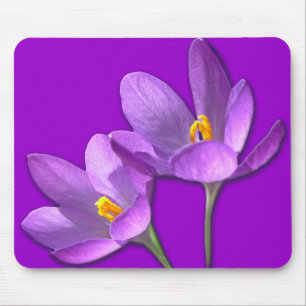 Mousepad Mouse Flor Crocus Roxo / Presentes Azuis