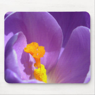 Mousepad Mouse Flor Crocus Roxo / Presentes Azuis