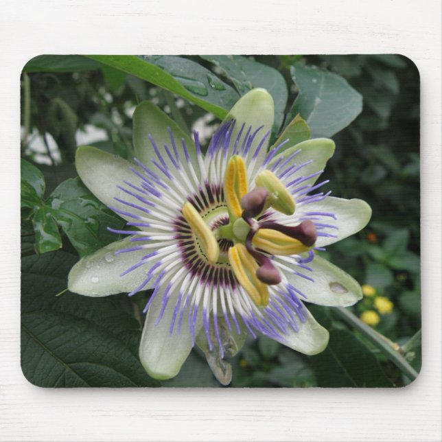 Mousepad Mouse Flor de Paixão (Frente)
