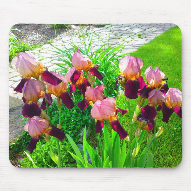 Mousepad Mouse Flor Maroon Iris (Frente)