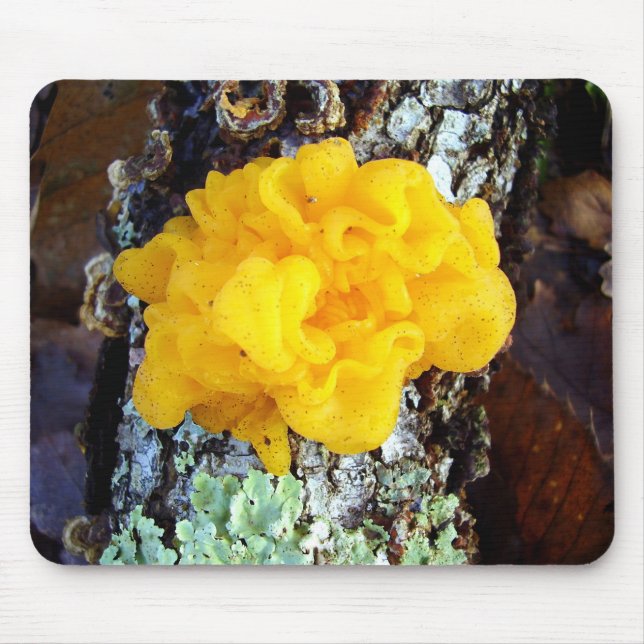Mousepad Mouse Fungi Tremella Mesenterica (Frente)