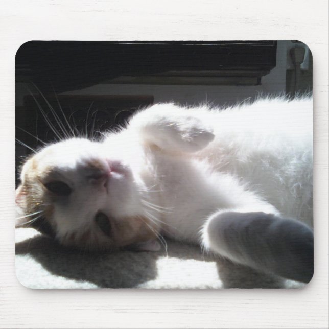 Mousepad Mouse Gato Pad! (Frente)
