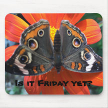 Mouse humor de sexta-feira