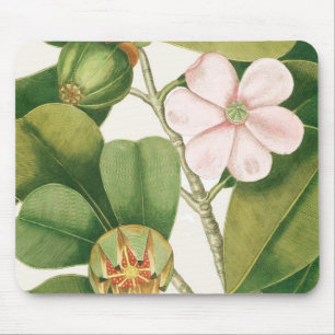 Mousepad Mouse Magnolia Rosa