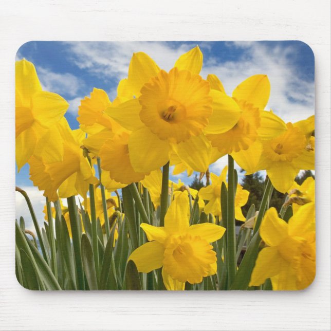 Mousepad Mouse Pad-Daffodils (Frente)