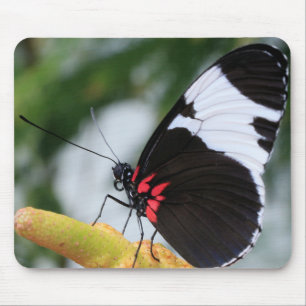 Mousepad Mouse Pad/Doris Longwing Butterfly