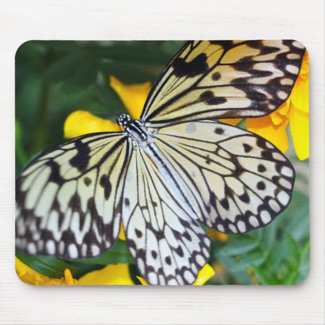Mousepad Mouse Pad/Paperkite (Frente)