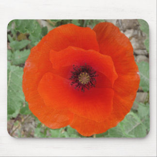 Mousepad Mouse Pad. Poppy (Amapola)