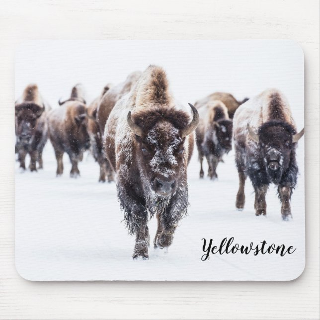 Mousepad Mouse Pad-Yellowstone Buffalo (Frente)