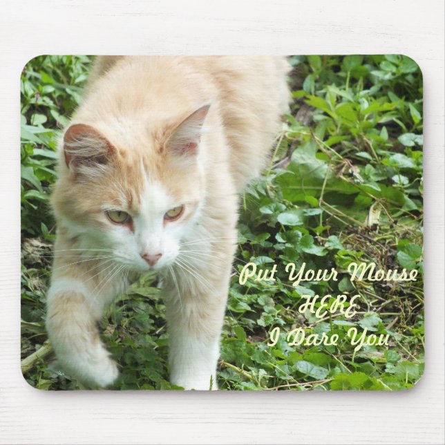 Mousepad Mouse Selva do Sahara (Frente)