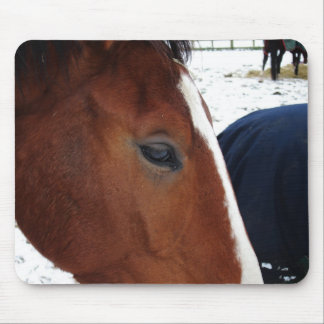 Mousepad Mousemat do cavalo