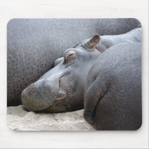 Mousepad Mousemat feliz do hipopótamo