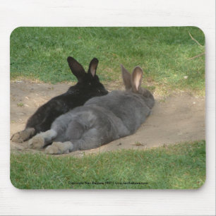 Mousepad - Mousemat para fora esticado coelhos. Personalize