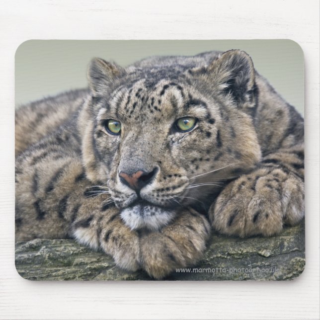 Mousepad Mousemat Sonho do Leopardo (Frente)