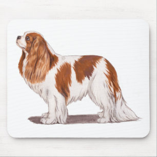 Mousepad Mousemat: spaniel de rei Charles descuidado