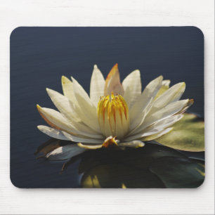 Mousepad Mousemats da água branca lilly - customizáveis