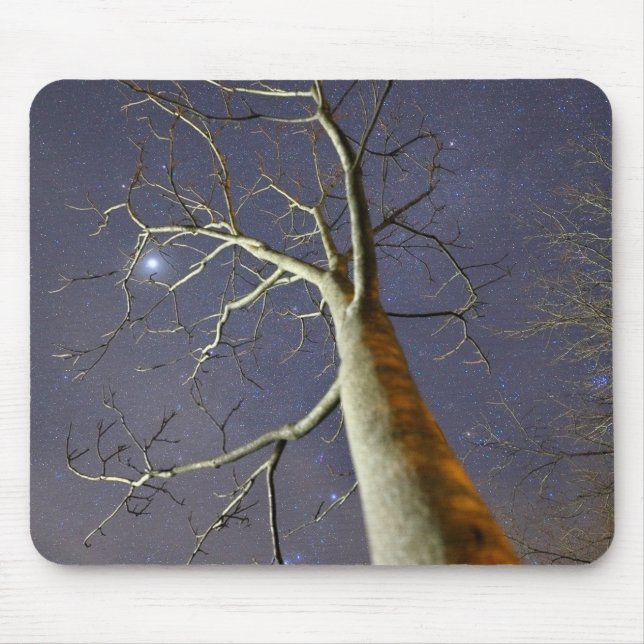 Mousepad Mousepad_Árvore_Estelada (Frente)