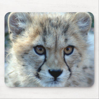 Mousepad Mousepad-cheetah-cub10x10