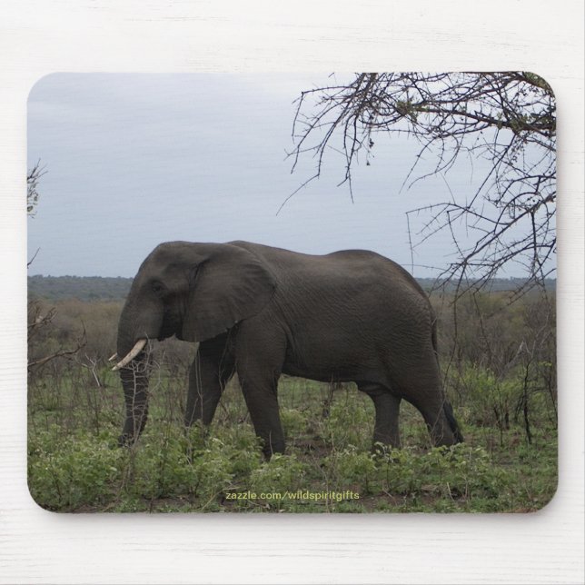 Mousepad Mousepad, Defensor da Vida Selvagem de Elefante Af (Frente)