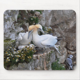 Mousepad Mousepad: Gannets e flores