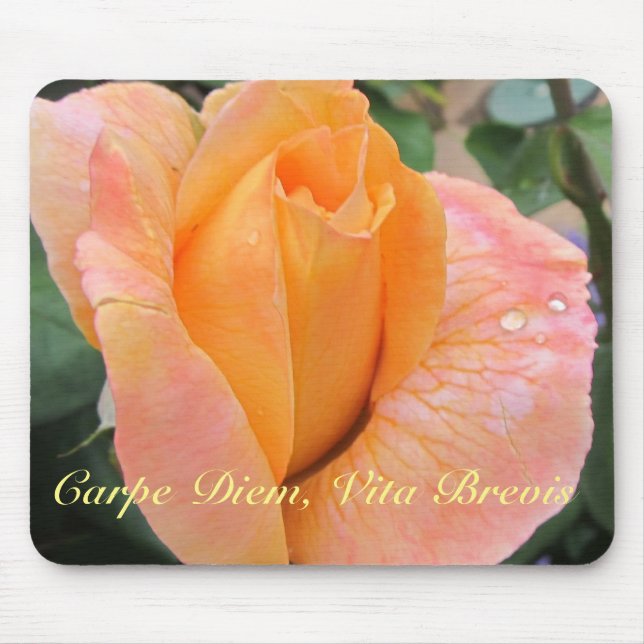 Mousepad Mousepad--Orange Rose With Raindrops (Frente)