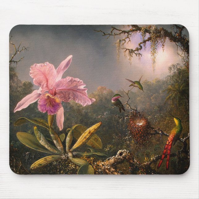 Mousepad Mousepad: Orquídeas e Hummingbird (Frente)