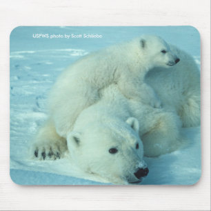 Mousepad Mousepad/urso polar & Cub