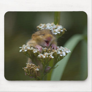 Mousepad Mousie de sorriso na flor