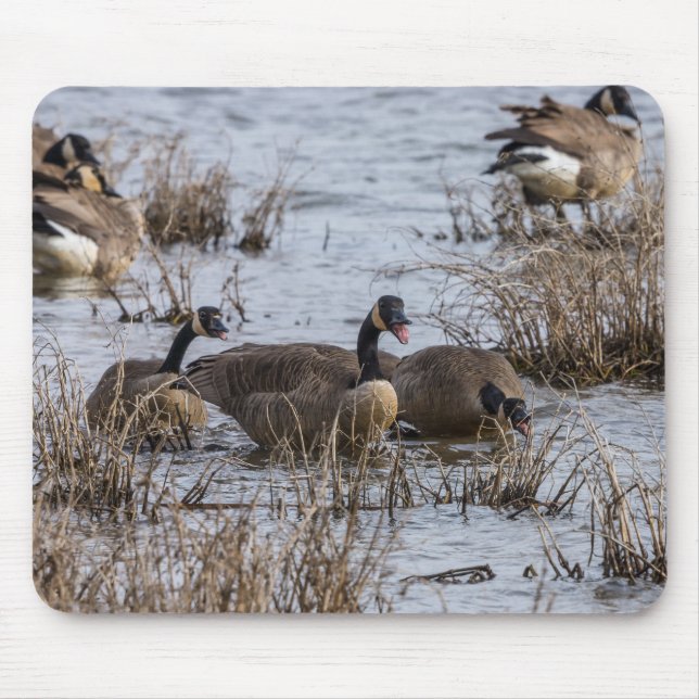 Mousepad Movendo-se para Dentro (Frente)