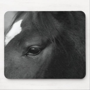 Mousepad mpcn de cavalo