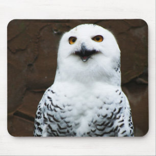 Mousepad mpcn de Coruja de Neve