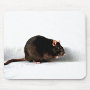 Mousepad mpcn de rato