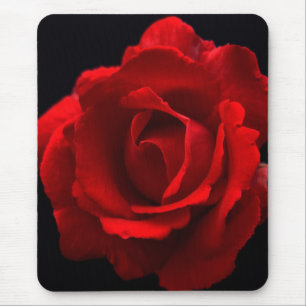 Mousepad mpcn de rosa vermelha