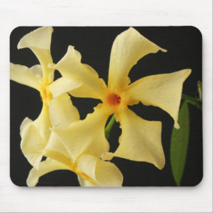 Mousepad mpcn do ventilador jasmim estrela