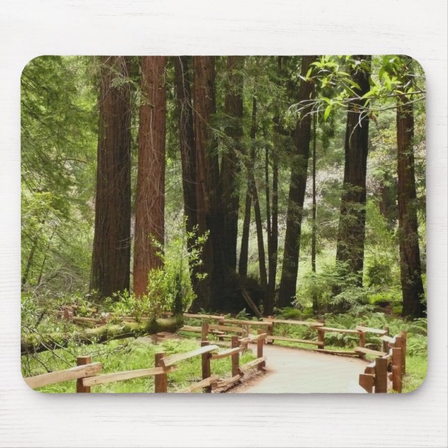 Mousepad Muir Woods Path I Nature Photoics (Frente)