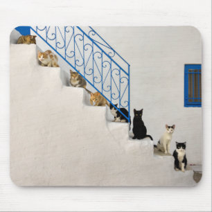 Mousepad Muitos gatos numa escada branca numa aldeia grega