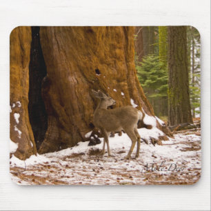 Mousepad Mule Deer
