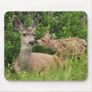 Mousepad Mule Deer Doe com Fawn 2