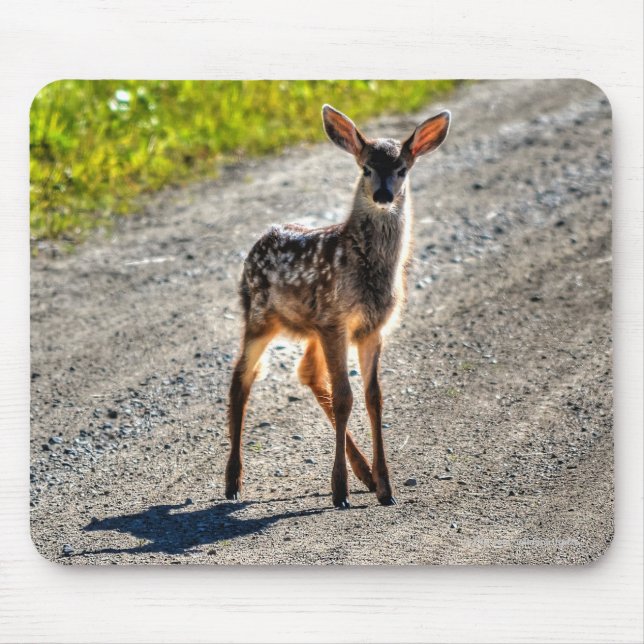 Mousepad Mule Deer Fawn Baby Animal Willife Foto (Frente)