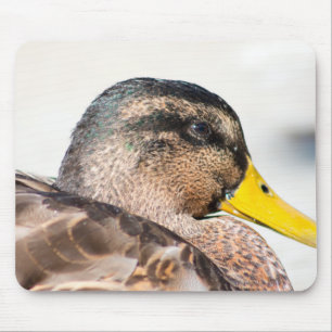 Mousepad Mulher: Mallard